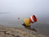 Nutzerbilder Freibad Müggelsee