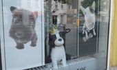 Nutzerbilder BLACK & WHITE Dogs Coiffeur and More Hundesalon