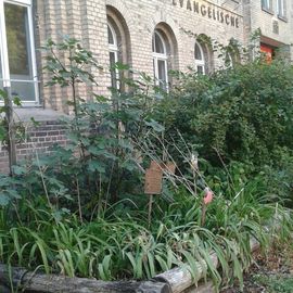 Evangelische Grundschule Friedrichshagen in Berlin