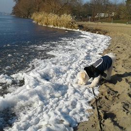 nun friert der See ganz schnell zu...