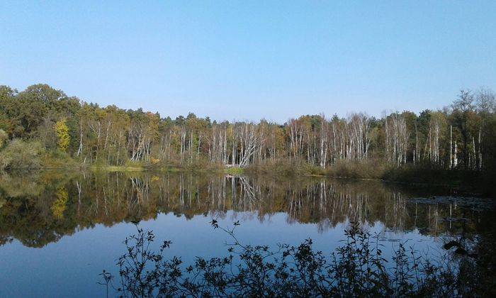 Nutzerbilder Lehrkabinett Teufelssee