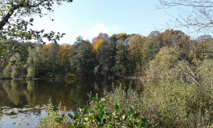 Nutzerbilder Lehrkabinett Teufelssee