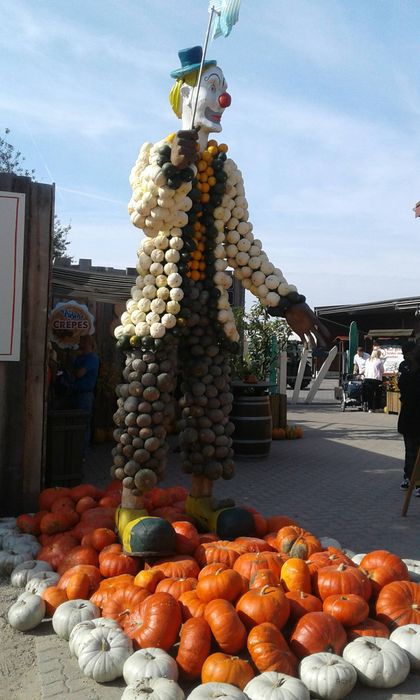 Nutzerbilder Buschmann & Winkelmann Spargelhof Klaistow Erlebnisgastronomie