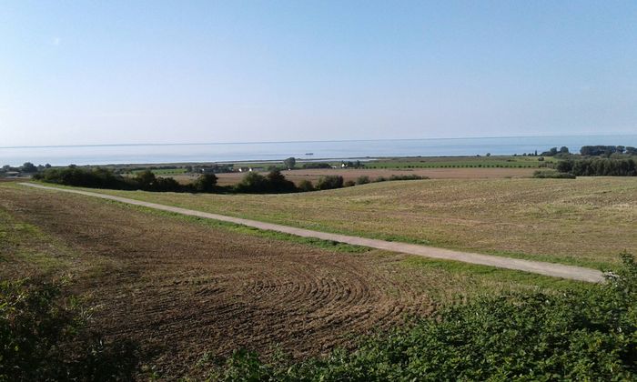 Aussicht in Ri. Naturschutzgebiet Riedensee