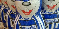 Nutzerfoto 1 Hertha BSC GmbH Co. KG aA