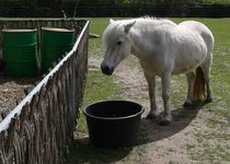 Bild zu Kleintierhof Wuhletal - Union Sozialer Einrichtungen gGmbH