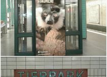 Bild zu U-Bahnhof Tierpark