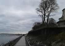 Bild zu Seebrücke Heiligendamm