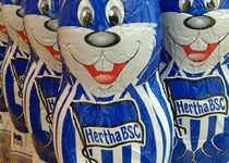 Bild zu Hertha BSC GmbH Co. KG aA