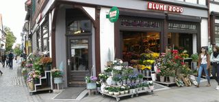 Bild zu BLUME2000 Wernigerode