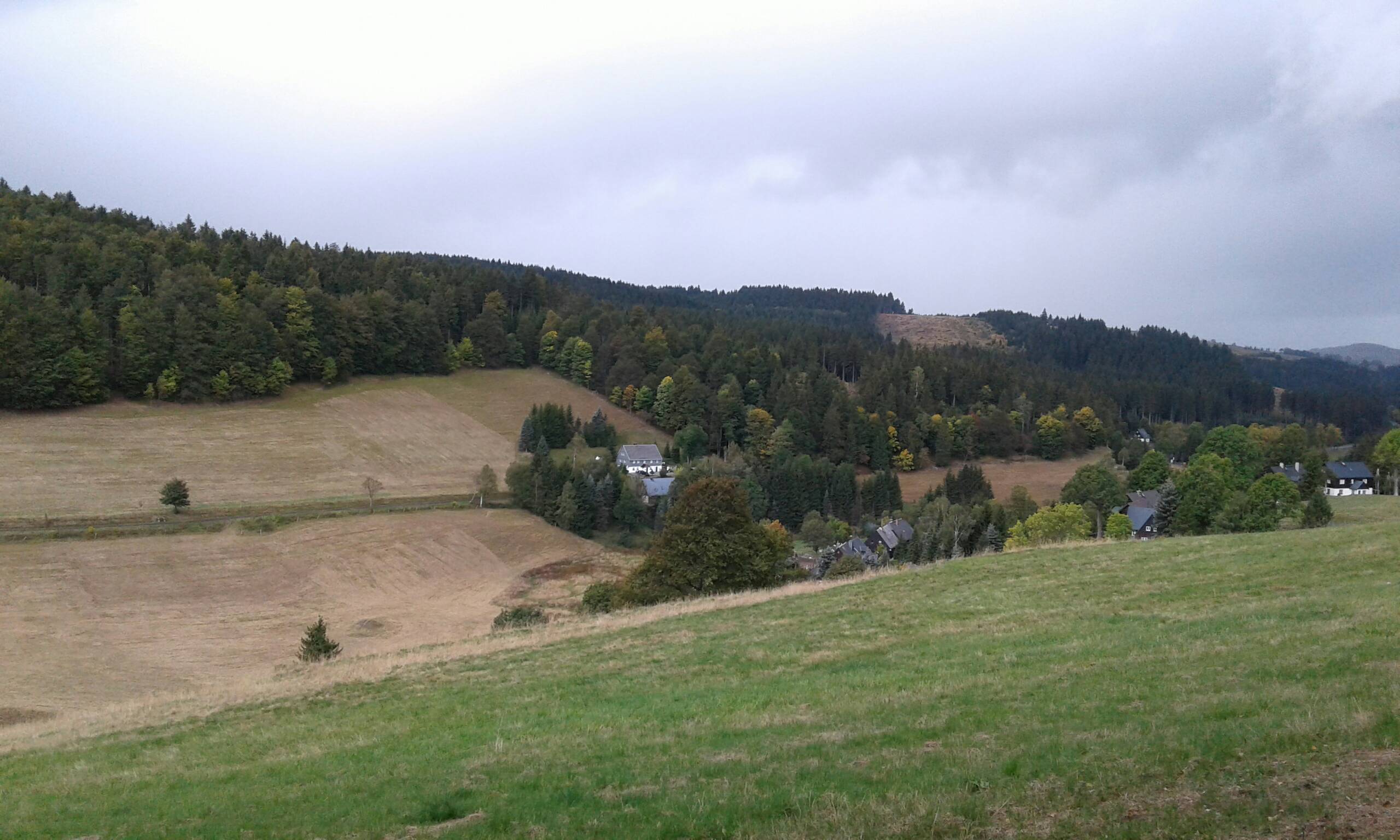 Bild 2 Forstrevier Rehefeld in Altenberg