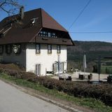 Hotel Hofgut Hohenkarpfen in Hausen ob Verena