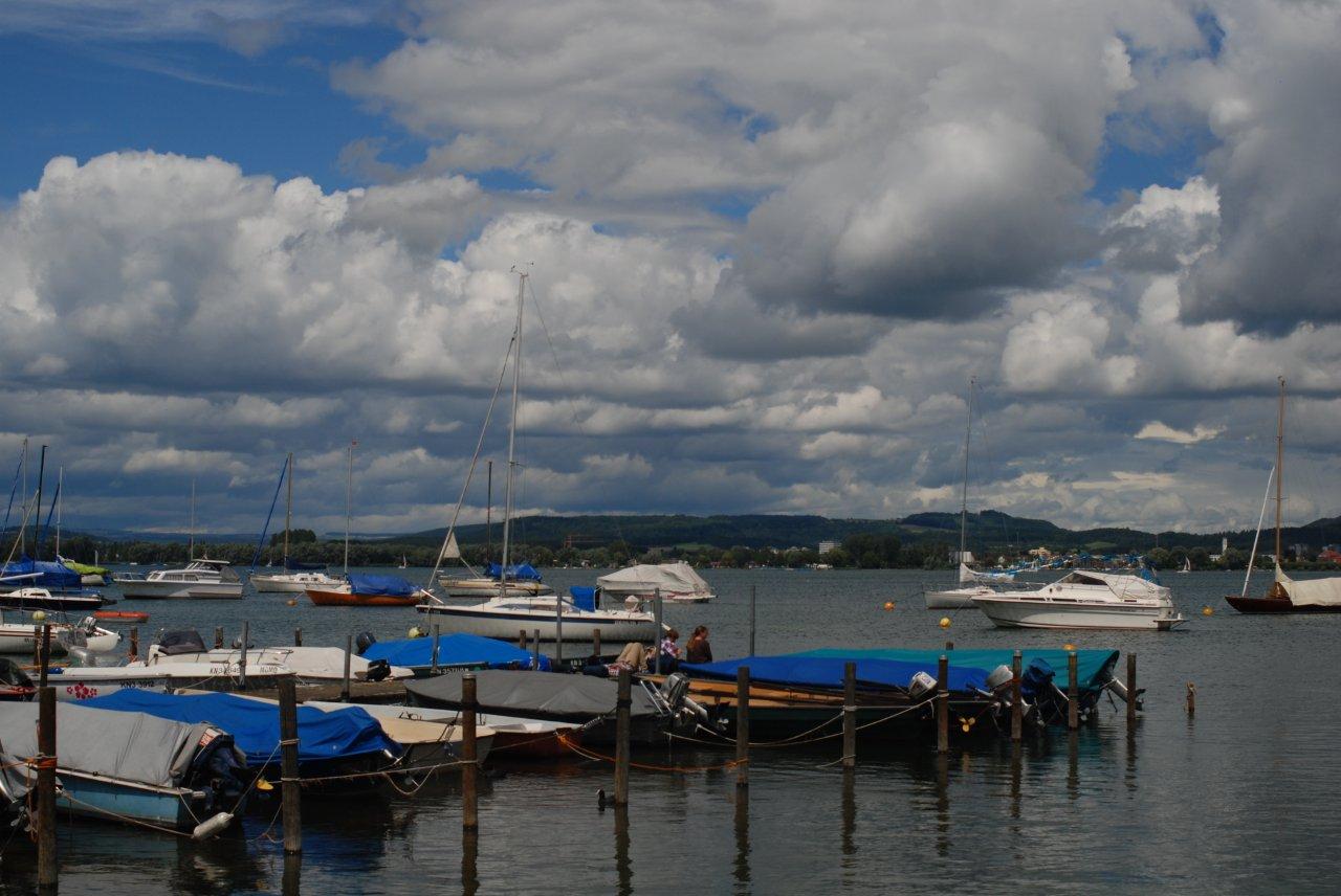 Bodensee bei der Höri / Iznang