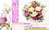 Nutzerbilder Blumen Anemone