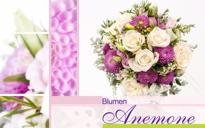 Nutzerbilder Blumen Anemone