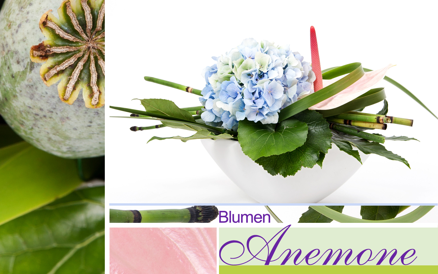 Sommergesteck mit blauer Hortensie: Blumen Anemone München