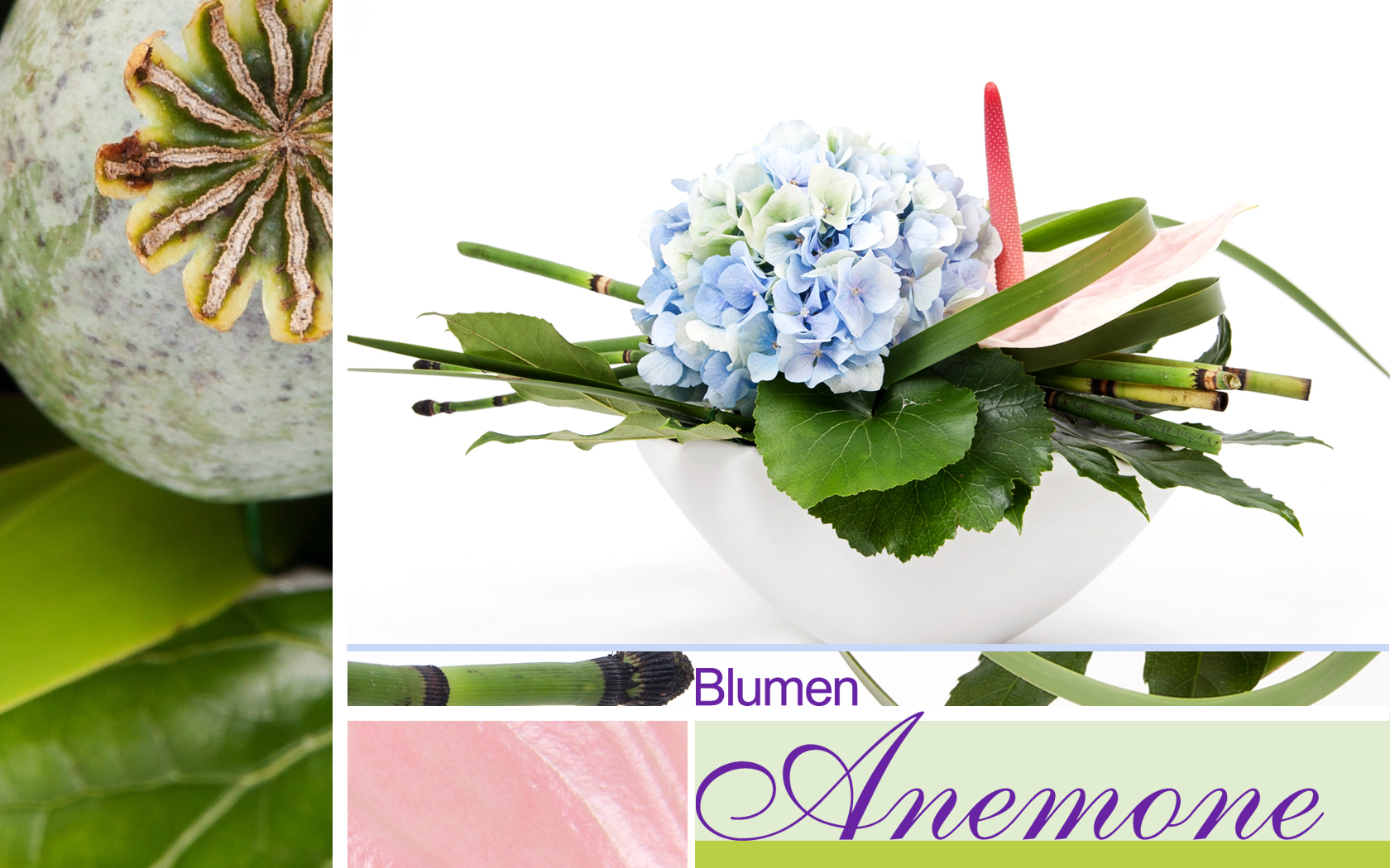 Sommerliches Gesteck mit blauer Hortensie bei Blumen Anemone in München