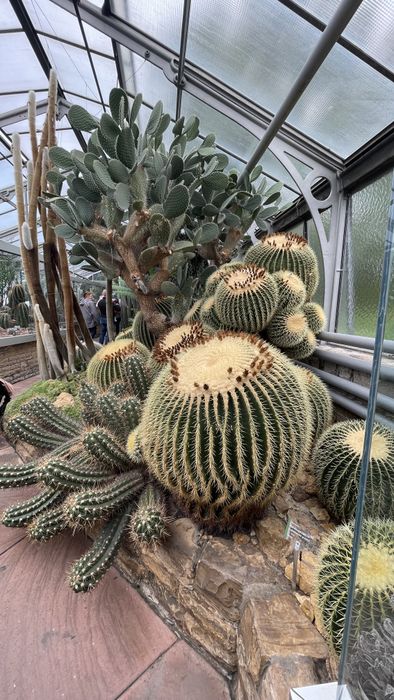 Nutzerbilder Zoologisch-Botanischer Garten Wilhelma