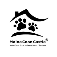 Bild zu Maine Coon Castle