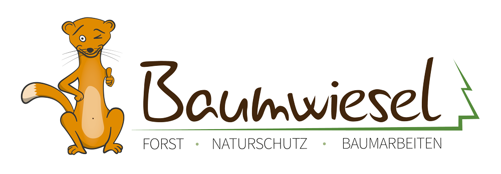 Bild 5 Baumwiesel - Joachim Seidl // Forst - Naturschutz - Baumarbeiten in Mauern