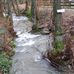 Waldhotel Silbermühle in Horn-Bad Meinberg