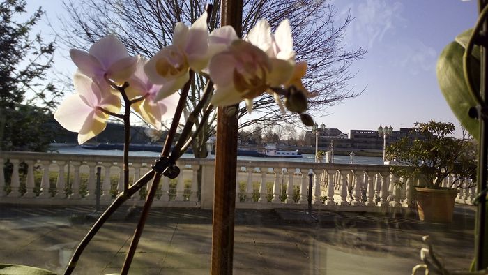 Blick von innen auf den Rhein mit vorbeifahrendem Schiff. 