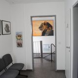 Tierarztpraxis Huppert in Krefeld