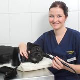 Tierarztpraxis Huppert in Krefeld