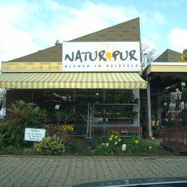 Natur Pur, Laatzen