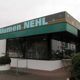 Blumen Nehl, Laatzen