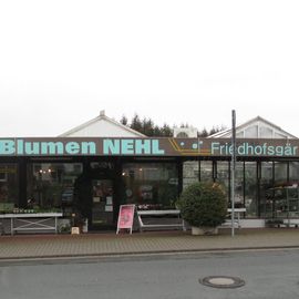 Blumen Nehl, Laatzen