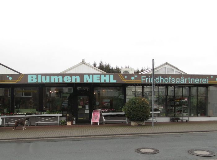 Nutzerbilder Blumen Nehl