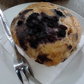 Blueberry Muffins für Biberach