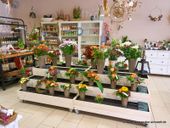 Nutzerbilder Raumzauber-Sinnwelt Claudia Tenner Florist