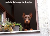 Bild zu mobile-fotografie-berlin