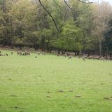 Wildwald Voßwinkel GbR in Voßwinkel Stadt Arnsberg