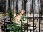 Nutzerbilder Westfälischer Zoologischer Garten Münster GmbH, Allwetterzoo