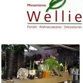 Pflanzentenne Wellie Karin in Werl