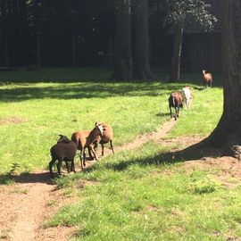 Ketteler-Hof Freizeitpark in Haltern am See