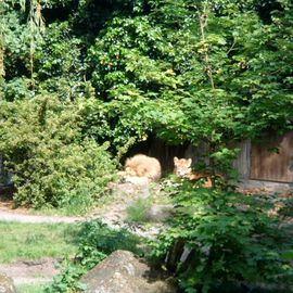 Allwetterzoo in Münster