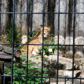 Allwetterzoo in Münster