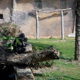 Allwetterzoo in Münster