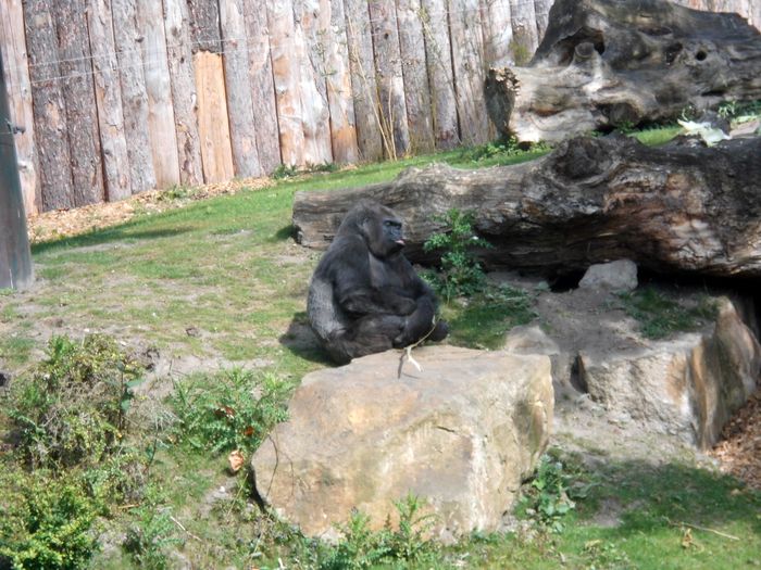 Nutzerbilder Westfälischer Zoologischer Garten Münster GmbH, Allwetterzoo