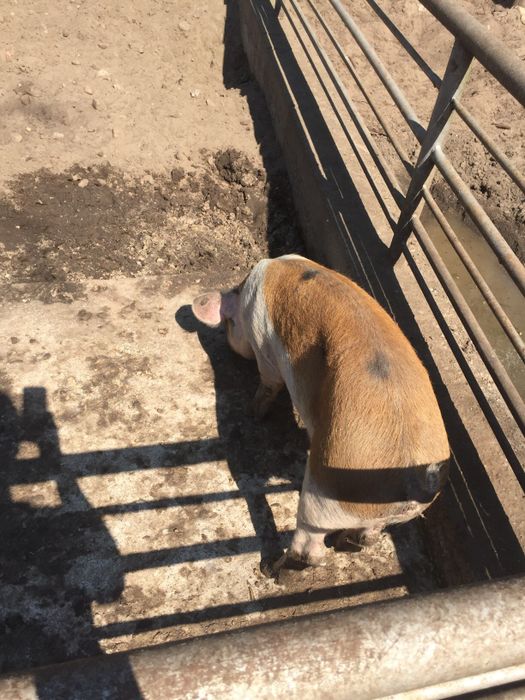 Nutzerbilder Freizeitpark Wendisch Rietz