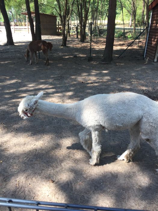 Nutzerbilder Freizeitpark Wendisch Rietz