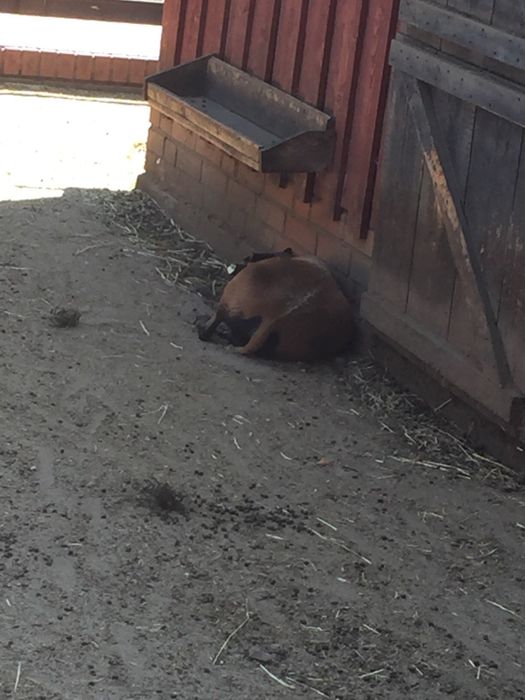 Nutzerbilder Freizeitpark Wendisch Rietz