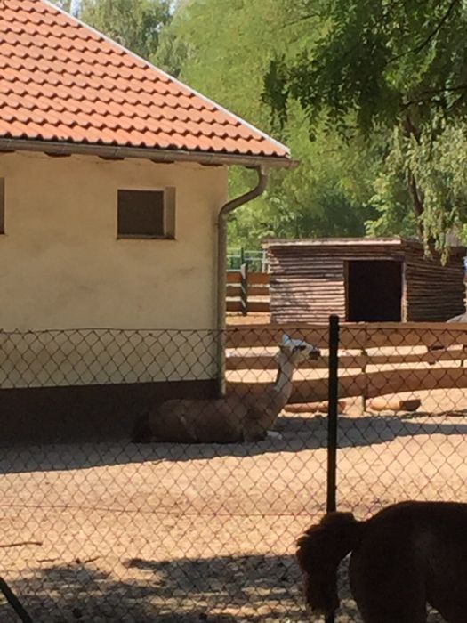 Nutzerbilder Freizeitpark Wendisch Rietz