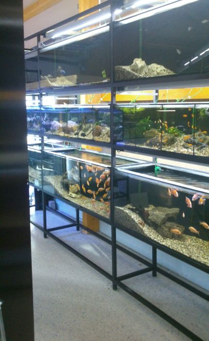 Aquarium Rößler