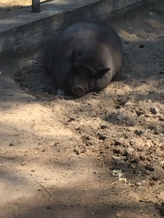 Nutzerbilder Freizeitpark Wendisch Rietz