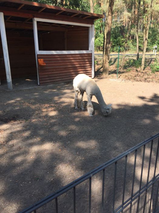 Nutzerbilder Freizeitpark Wendisch Rietz